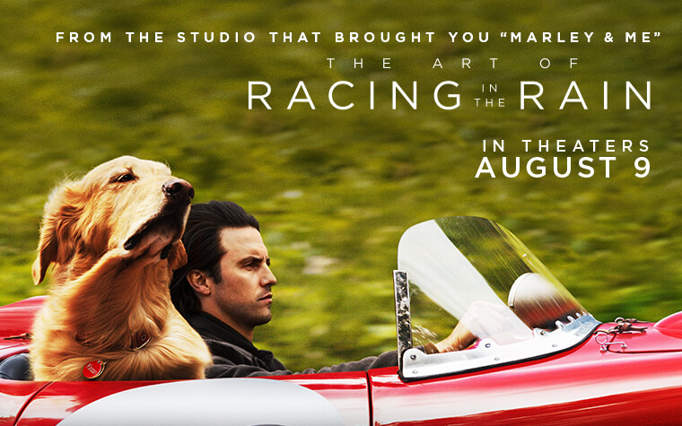 The art of racing in the rain fmovies new arrivals