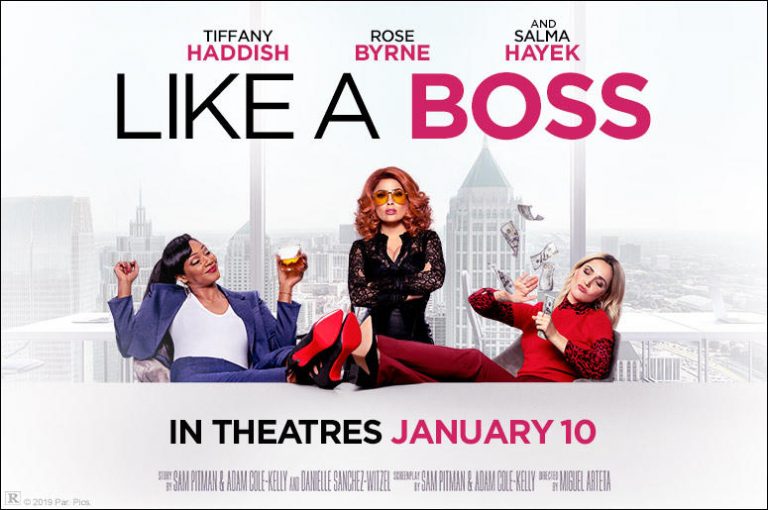 reviews for the boss movie reviews for the boss movie